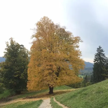 شقة Ferienwohnung Wiesenglueck Nahe Tegernsee & Alpen
