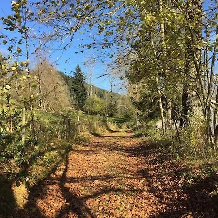شقة Ferienwohnung Wiesenglueck Nahe Tegernsee & Alpen *