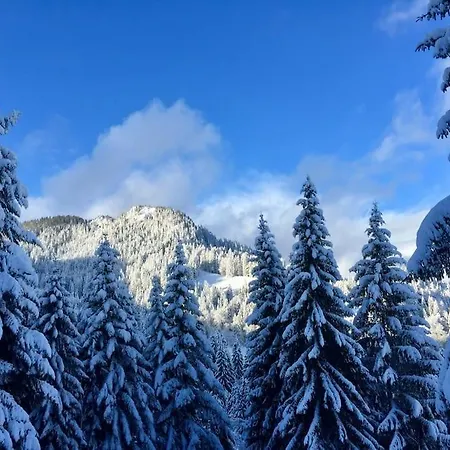 شقة Ferienwohnung Wiesenglueck Nahe Tegernsee & Alpen Waakirchen