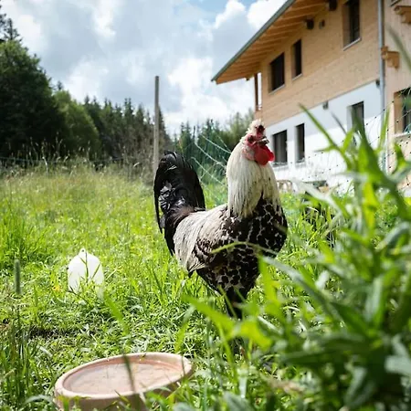 Ferienwohnung Wiesenglueck Nahe Tegernsee & Alpen