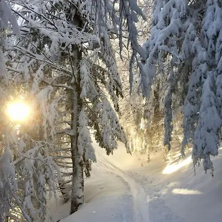 Ferienwohnung Wiesenglueck Nahe Tegernsee & Alpen * Waakirchen